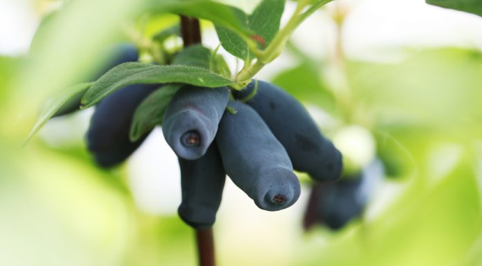 Jak skorzystać z promocji w 2022 roku?