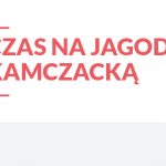 CZAS NA POLSKIE SUPEROWOCE Jagoda kamczacka (6)