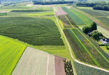 Susza ma być mniej groźna w kolejnych sezonach