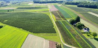 Susza ma być mniej groźna w kolejnych sezonach