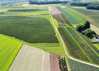 Susza ma być mniej groźna w kolejnych sezonach