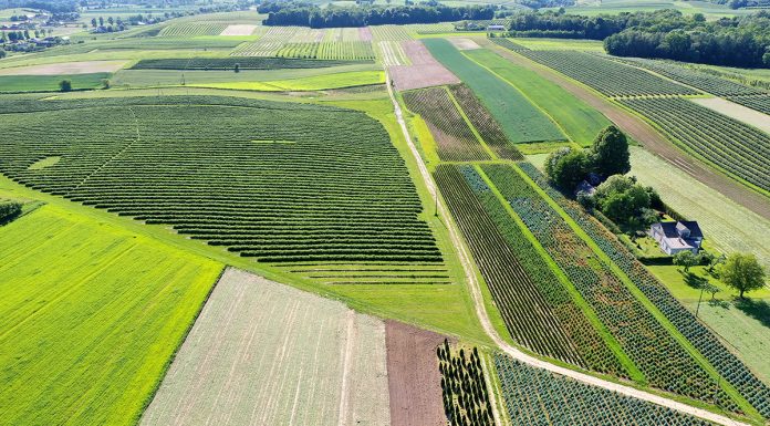 Susza ma być mniej groźna w kolejnych sezonach