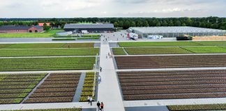 Specjalista od borówki od 1969 roku