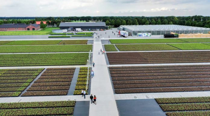 Specjalista od borówki od 1969 roku