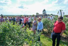 Praktyczna wiedza na Warsztatach Borówkowych 2019