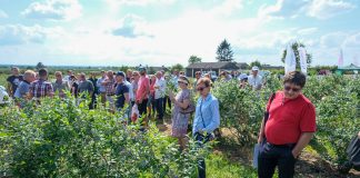 Praktyczna wiedza na Warsztatach Borówkowych 2019
