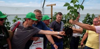 Malinowe warsztaty (cz. I)