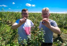 Borówkowe Warsztaty 2019, czyli dobre przygotowanie do nowego sezonu