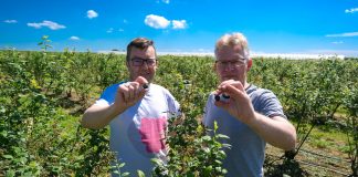 Borówkowe Warsztaty 2019, czyli dobre przygotowanie do nowego sezonu