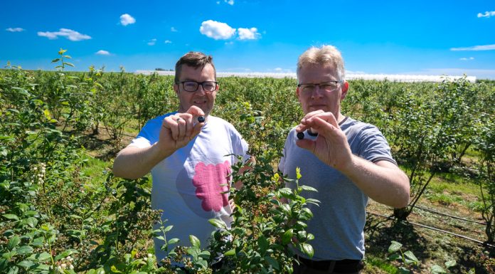 Borówkowe Warsztaty 2019, czyli dobre przygotowanie do nowego sezonu