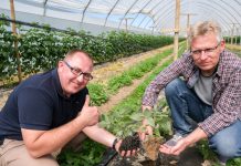 „Takiego systemu korzeniowego to ja osobiście nie widziałem”