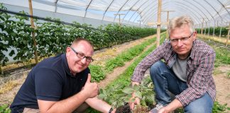 „Takiego systemu korzeniowego to ja osobiście nie widziałem”