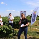 IMG_0890warsztaty_malinowe