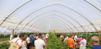 Malinowe Warsztaty już w tą niedzielę. Zapraszamy do Karczmisk!