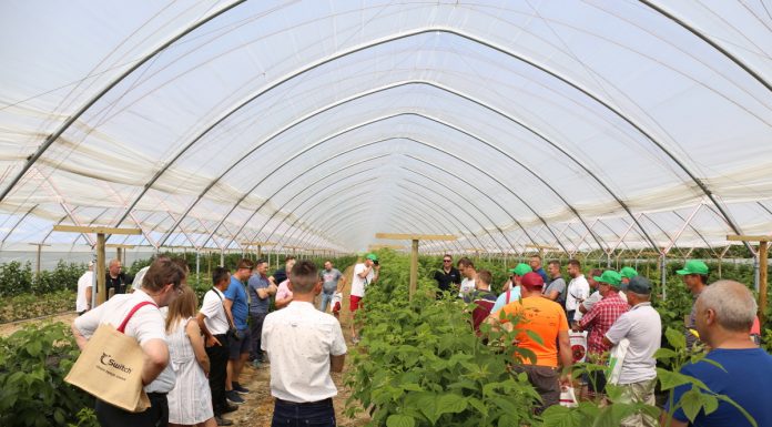 Malinowe Warsztaty już w tą niedzielę. Zapraszamy do Karczmisk!