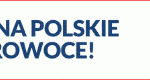 Koszulka_2019_logo