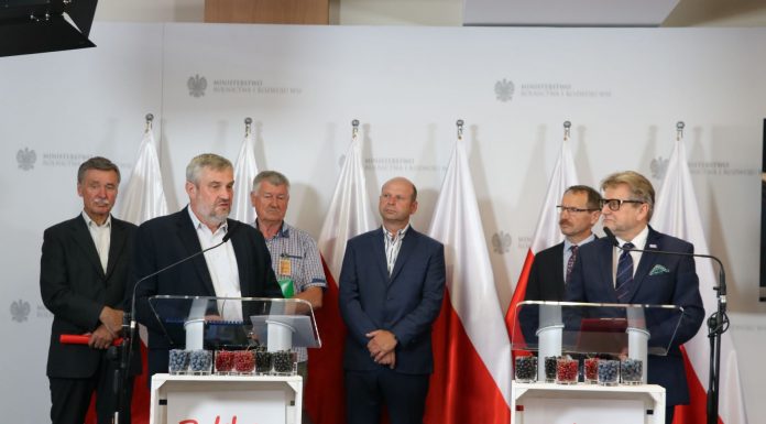 Czas na polskie superowoce!