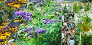 Targi „Zieleń to Życie” 5-6-7 września 2019. Rośliny w międzynarodowym wydaniu