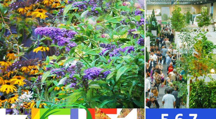 Targi „Zieleń to Życie” 5-6-7 września 2019. Rośliny w międzynarodowym wydaniu