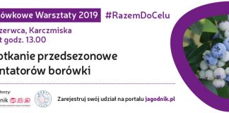 Borówkowe Warsztaty 2019