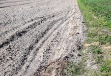 Ugorowanie ziemi – czy będzie konieczne? Działanie KE to także efekt protestów rolników