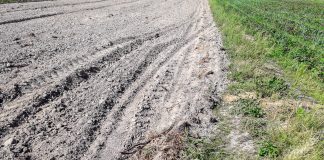 Ugorowanie ziemi – czy będzie konieczne? Działanie KE to także efekt protestów rolników