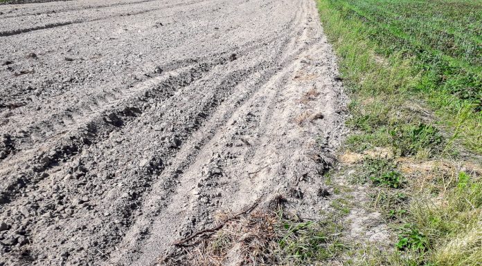 Ugorowanie ziemi – czy będzie konieczne? Działanie KE to także efekt protestów rolników