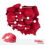Czas na polskie superowoce! (4)