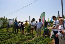 O jagodowych i nie tylko na Forum Doradców Sadowniczych