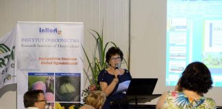 Wpływ wody na wzrost i plonowanie roślin