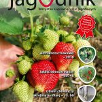 JK 06_2019 okładka — kopia — kopiajagodnik_