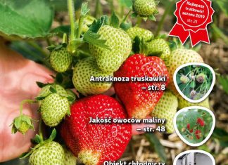 Jagodnik 6/2019 już w sprzedaży