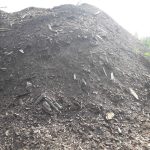 Pryzma dobrze rozłożonej masy drzewnejborowka_podloze