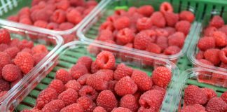 Ceny malin spadają. Notowania truskawek i malin z 29.06.2023