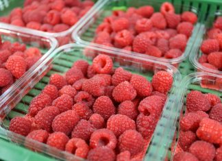 Ceny malin spadają. Notowania truskawek i malin z 29.06.2023