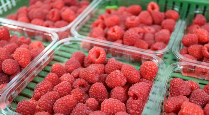 Sprzedaż owoców jagodowych w Wielkiej Brytanii wciąż rośnie