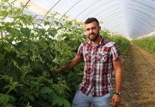 Technologia BioAgris w uprawie malin