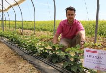 Praktycznie o odkażaniu gleby