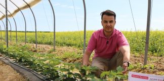 Praktycznie o odkażaniu gleby