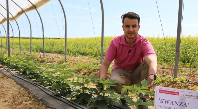 Praktycznie o odkażaniu gleby