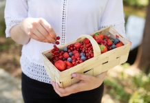 Superowoce promują codzienną konsumpcje w sezonie zbiorów