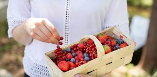 Superowoce promują codzienną konsumpcje w sezonie zbiorów