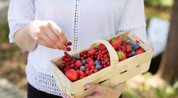 Superowoce promują codzienną konsumpcje w sezonie zbiorów