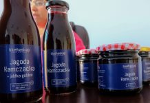 Blue Haskap, czyli jagoda kamczacka z pomysłem