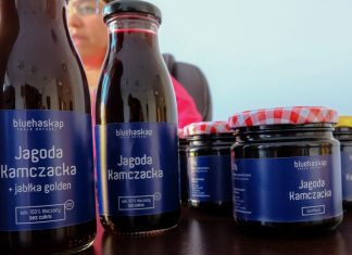 Blue Haskap, czyli jagoda kamczacka z pomysłem