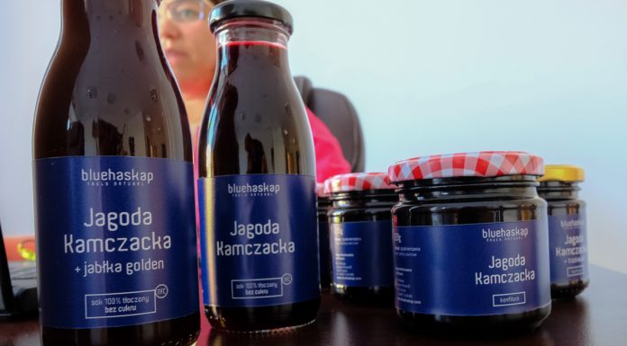 Blue Haskap, czyli jagoda kamczacka z pomysłem