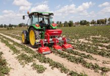 Przygotowania do sezonu truskawkowego (cz. II)