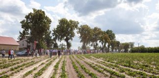 Przygotowania do sezonu truskawkowego (cz. I)