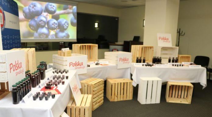 Oficjalna inauguracja zbiorów aronii