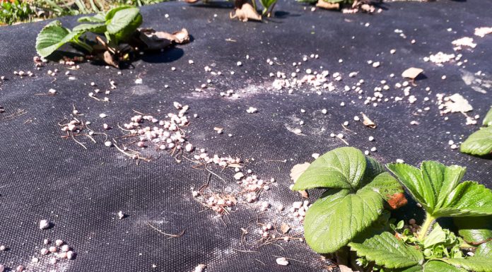 Dopłaty do nawozów – wymagane dokumenty